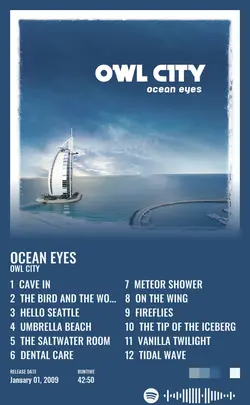 Owl City - Ocean Eyes.jpg